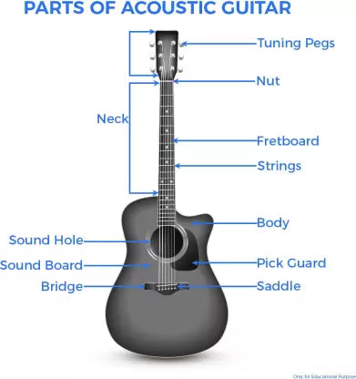 REVEL RVL-38C-LGP-3TS Acoustic Guitar Linden Wood Ebony Right Hand Orientation REVEL RVL-38C-LGP-3TS Acoustic Guitar Linden Wood Ebony Right Hand Orientation